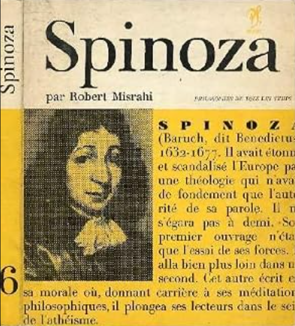 Spinoza / Robert Misrahi