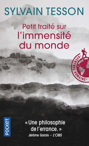 Petit traité sur l'immensité du monde / Sylvain Tesson